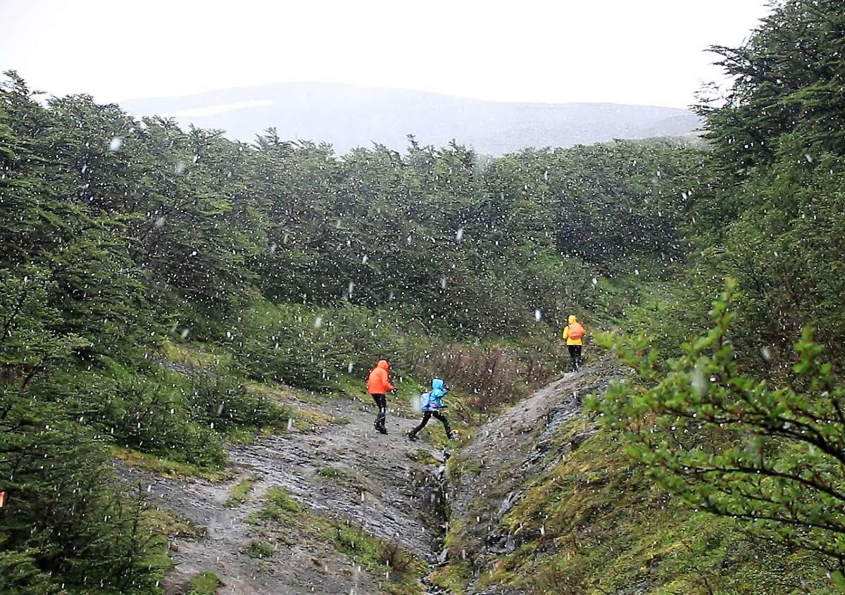 Monte Tarn tormenta de nieve