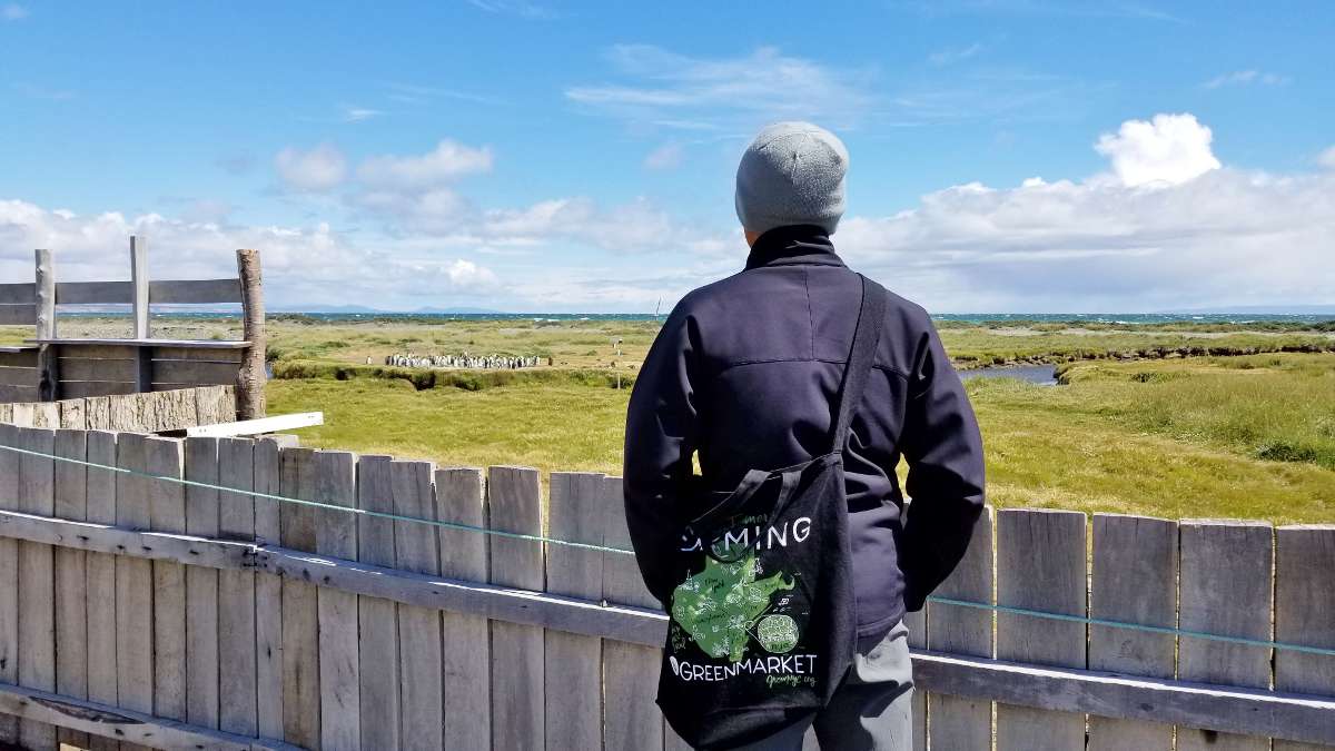 Área de observación en Parque Pinguino Rey